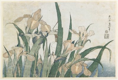 Irisblumen und Heuschrecke, ca. 1830-31 von Katsushika Hokusai