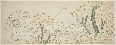 Der Berg Fuji mit blühenden Kirschbäumen von Katsushika Hokusai