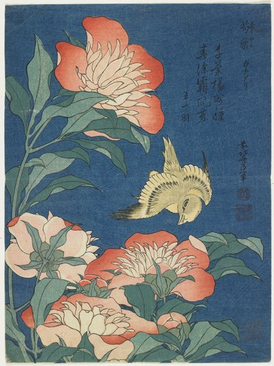 Pfingstrosen und Kanarienvogel, ca. 1833 von Katsushika Hokusai