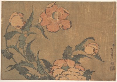 Mohnblumen im Wind von Katsushika Hokusai