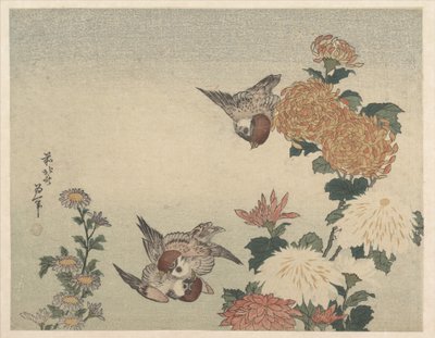 Spatzen und Chrysanthemen von Katsushika Hokusai