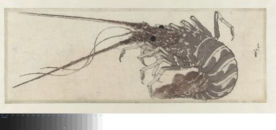 Der Hummer von Katsushika Hokusai
