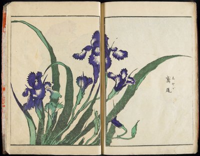 Die Seele übertragen und die Form der Dinge offenbaren: Hokusais Garten der Bilder, Bd. 1 komplett von Katsushika Hokusai