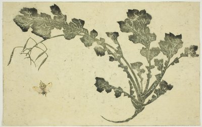 Wespe und Rübenstiel, aus "Das Bilderbuch der realistischen Malereien von Hokusai" von Katsushika Hokusai