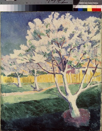 Sommerlandschaft von Kazimir Severinovich Malevich