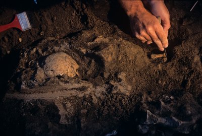 Dmanisi, Georgien, David Lordkipanidze, Homo Erectus von Kenneth Garrett