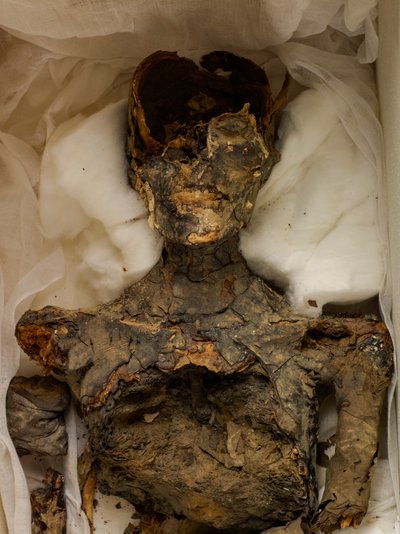 18. Dynastie; Neues Reich; Ägypten; Das Ägyptische Museum; Kairo; Mumie; Tal der Könige, 2009 (Foto) von Kenneth Garrett