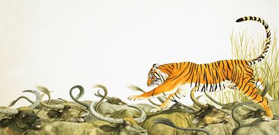 Ein Tiger rennt über die Rücken von Büffeln von Kenneth Lilly