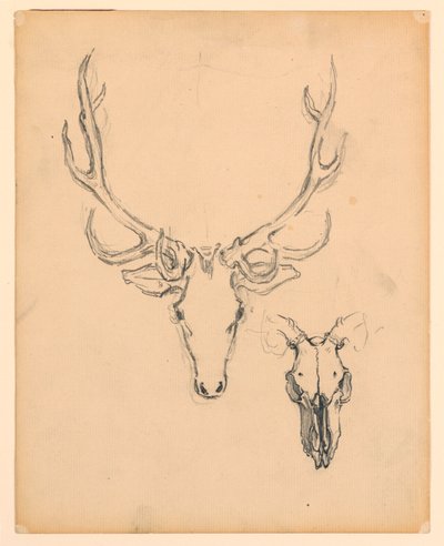 Studie eines Hirschkopfes von Kenyon Cox