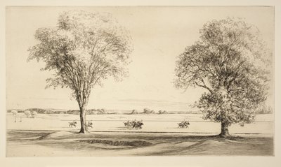 Polo von Kerr Eby