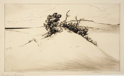 Schatten auf den Dünen von Kerr Eby