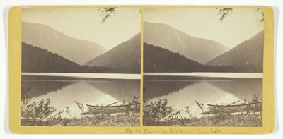 Franconia Notch vom Echo Lake von Kilburn Brothers, BW Kilburn