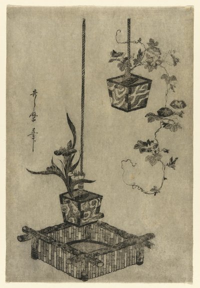 Anordnungen von Schwertlilien und Prunkwinden von Kitagawa Utamaro