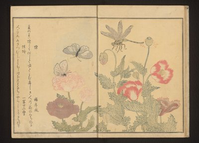 Schmetterlinge und Libelle in der Nähe von Mohnblumen von Kitagawa Utamaro