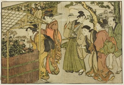 Ausstellung von Chrysanthemen, aus dem illustrierten Buch "Bilderbuch: Blumen der vier Jahreszeiten (Ehon shiki no hana)," Bd. 2 von Kitagawa Utamaro