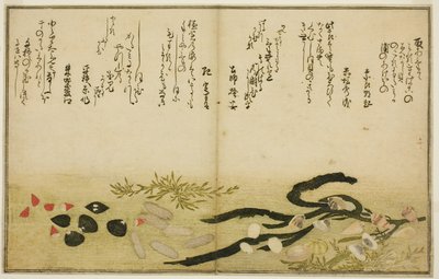 Minashi-gai, shio-gai, katatsu-gai, miso-gai, chijimi-gai und chigusa-gai, aus dem illustrierten Buch "Geschenke von der Ebbe (Shiohi no tsuto)" von Kitagawa Utamaro