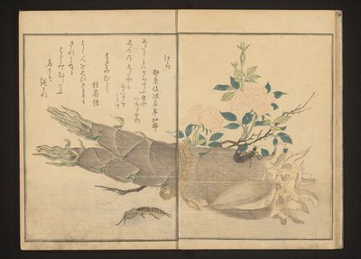 Maulwurfsgrille und Ohrwurm auf Bambusspross von Kitagawa Utamaro