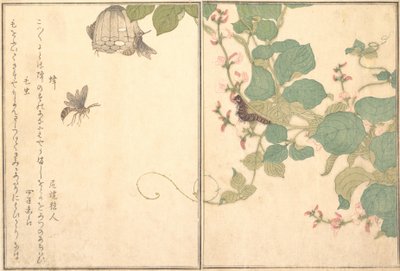 Papierwespe Hachi, haarige Raupe Kemushi..., 1788 von Kitagawa Utamaro