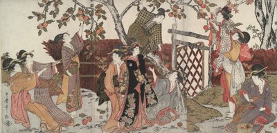 Kaki-Sammler von Kitagawa Utamaro