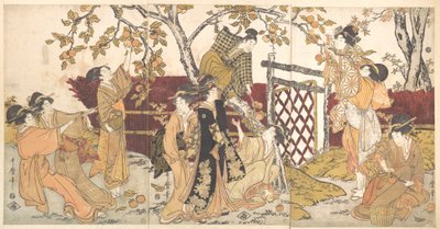 Kakifrüchte pflücken von Kitagawa Utamaro