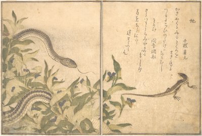 Rattenschlange (Hebi); Eidechse oder Skink (Tokage), aus dem Bilderbuch der kriechenden Tiere (Ehon mushi erami) von Kitagawa Utamaro