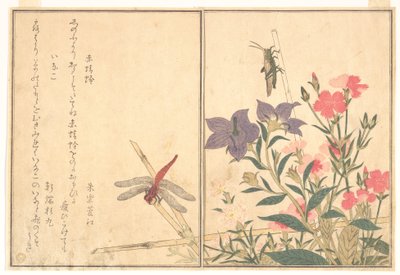 Rote Libelle (Akatonbo); Heuschrecke (Inago), aus dem Bilderbuch der kriechenden Kreaturen (Ehon mushi erami) von Kitagawa Utamaro