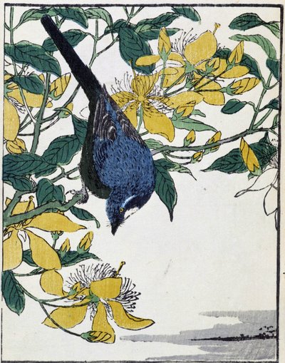 Vogel auf einem Baum. Japanische Zeichnung von Kitao Kosuisai von Kitao Shigemasa