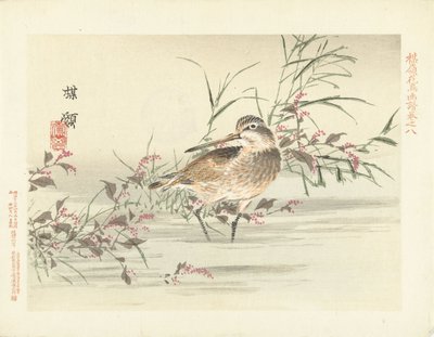 Schnepfe von Kono Bairei