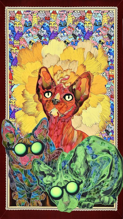 Bunte Sphynx-Katzen von Kostyantin Malginov