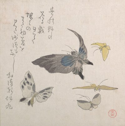 Schmetterlinge, 19. Jahrhundert von Kubo Shunman