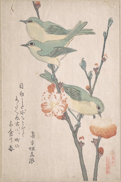 Japanische Weißaugen auf einem Pfirsichbaumzweig, aus der Serie Eine Reihe von Vögeln (Tori awase), aus dem Frühlingsregen Surimono Album (Harusame surimono-jō, Bd. 3) von Kubo Shunman