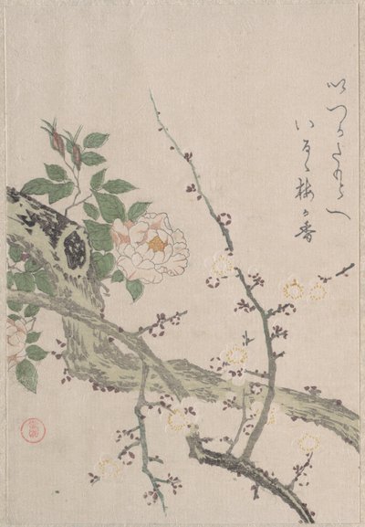 Rosen und Pflaumenblüten von Kubo Shunman