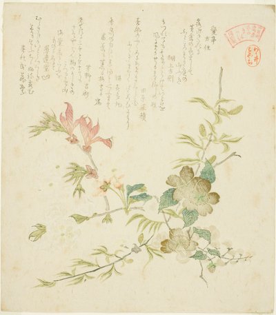 Verschiedene Frühlingsblumen, aus der Serie "Frühlingspflanzen und -bäume für den Kasumi-Dichtkreis der Yomo-Gruppe (Yomogawa Kasumi-ren haru no kusaki no uchi)" von Kubo Shunman