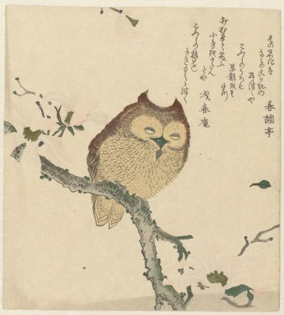 Eule auf einem Magnolienzweig von Kubota Shunman