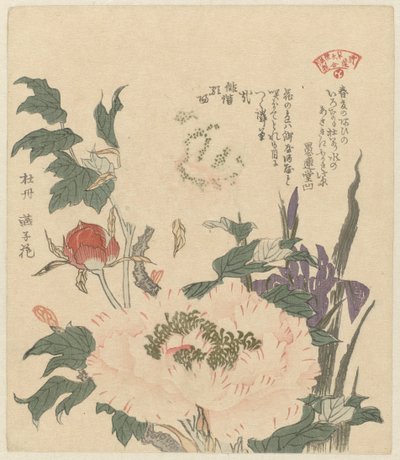 Pfingstrosen und Schwertlilien von Kubota Shunman
