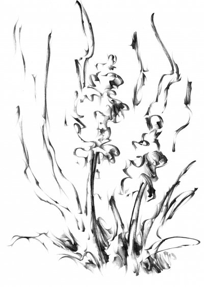 Monochrome Blumenpracht von Kulik