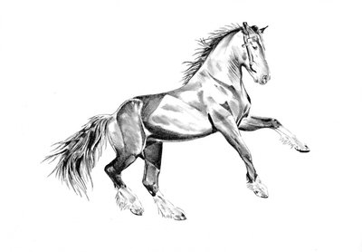 Steigendes majestätisches Pferd von Kulik