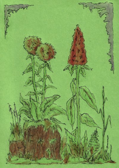 Verspielte Gartenpflanzen von Kulik