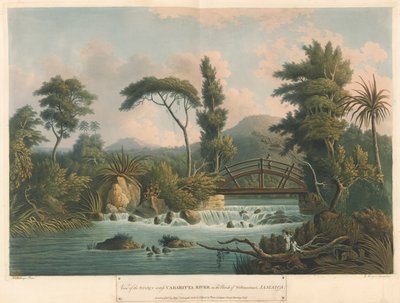 Der Cabaritta-Fluss, aus 