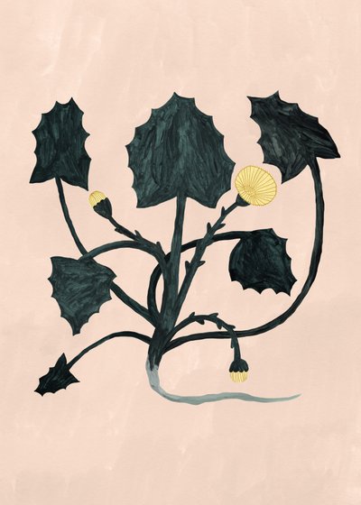 Unbekannte Pflanze, 2018 von Léa Le Pivert