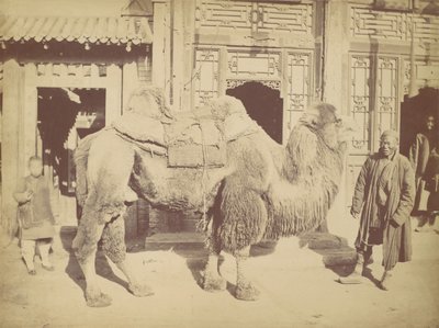Peking. Nr. 923, 1867 von Lai Fong.