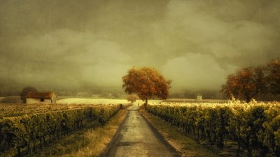 Herbstlicher Weinbergweg von Lars van de Goor †
