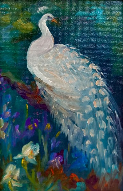 Weißer Pfau von Lee Campbell