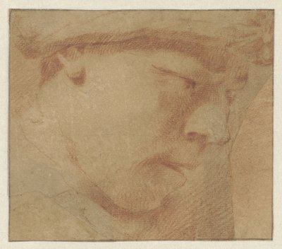 Kopf eines Jungen, nach rechts von Leendert van der Cooghen (manner of)