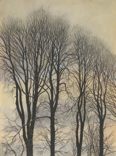 Baum im Himmel von Leon Spilliaert