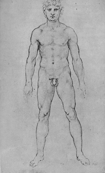 Ein nackter Mann von vorne gesehen, ca. 1480 von Leonardo da Vinci