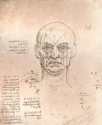 Zeichnung zur Veranschaulichung der Theorie der Proportionen der menschlichen Figur, um 1472-um 1519, 1883 von Leonardo da Vinci