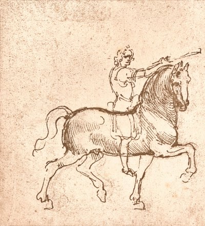Zeichnung eines gehenden Pferdes, um 1472-um 1519, 1883 von Leonardo da Vinci