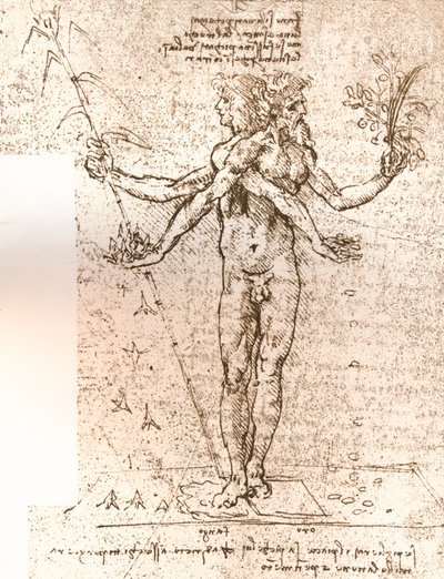 Zeichnung einer allegorischen Komposition, ca. 1472-1519 1883 von Leonardo da Vinci