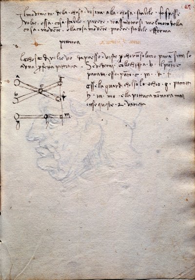 Auszug aus dem Buch der Gemälde, aus Codex Trivulzianus von Leonardo da Vinci